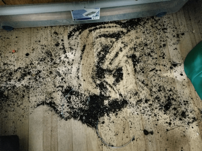 20171105_2024161639731484