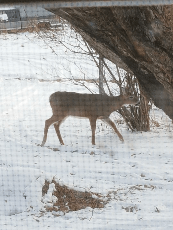 20171108_1524572118019393