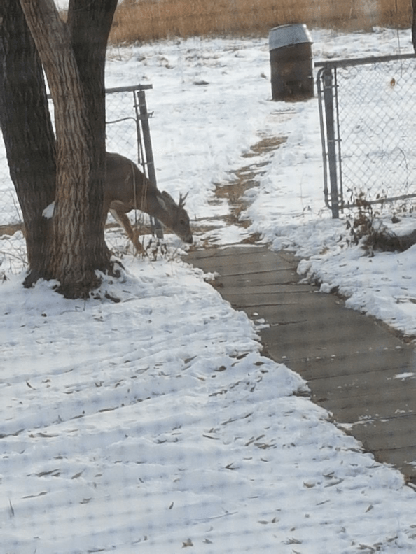 20171108_1525141460319536