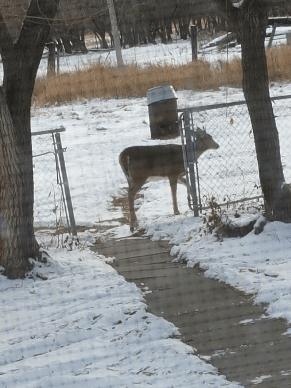 20171108_152522570871418