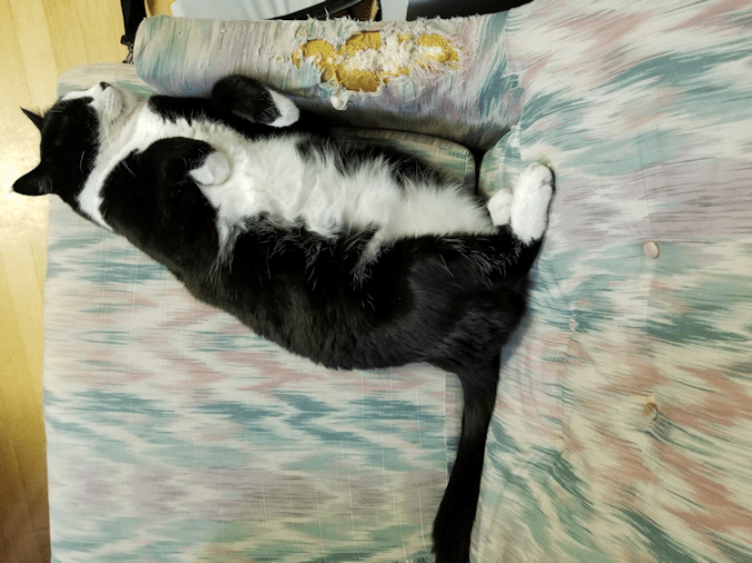 20171108_184809958528204