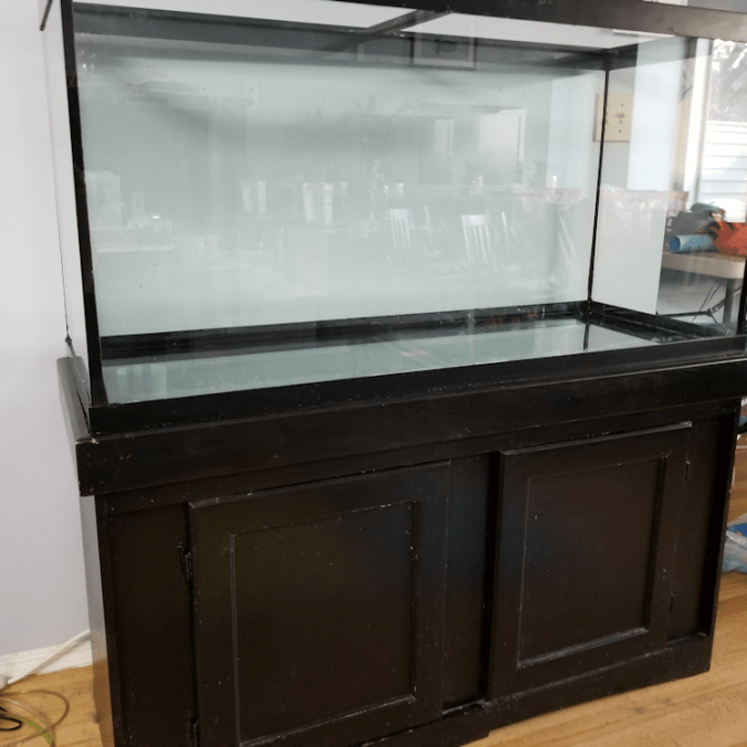 20171111_155930_7301616906807