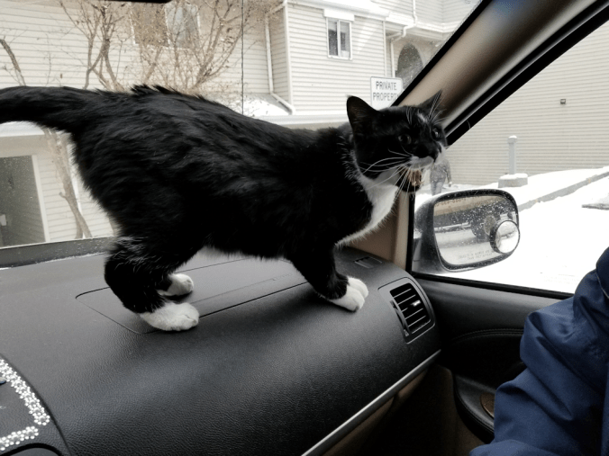 20171113_151805927697123