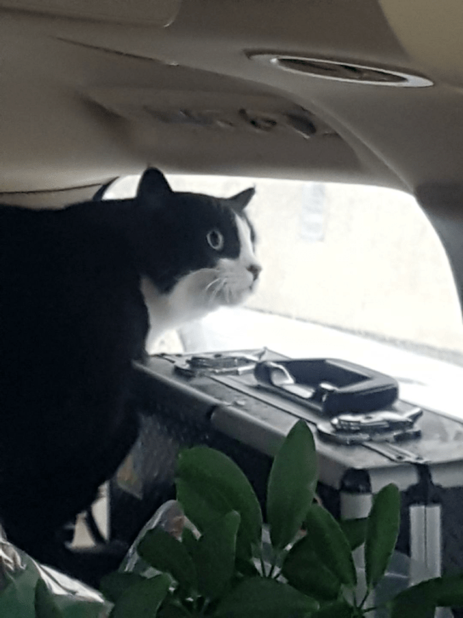 20171113_151954650217747