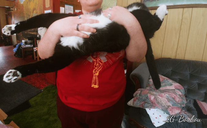 20171116_1235262036402638