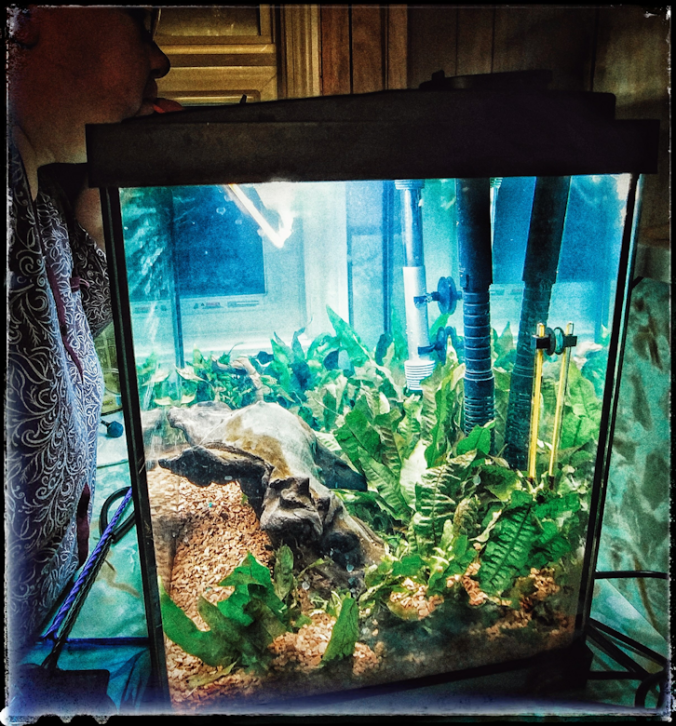 20171116_233111-01144273210