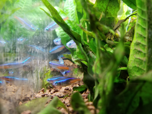 20171118_1728031898432251