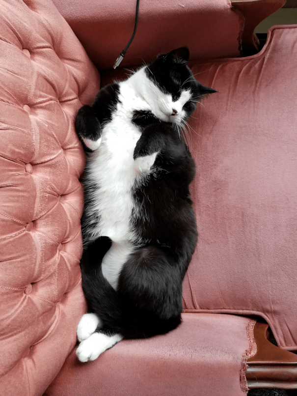 20171119_08385293380617