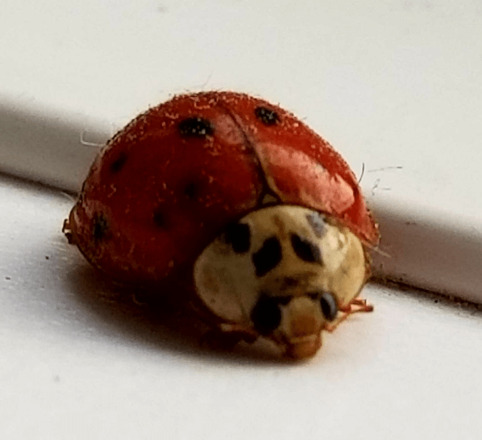 20171119_091350974192577