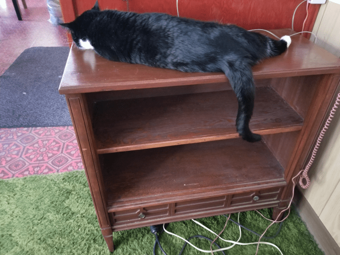 20171121_141208272181056