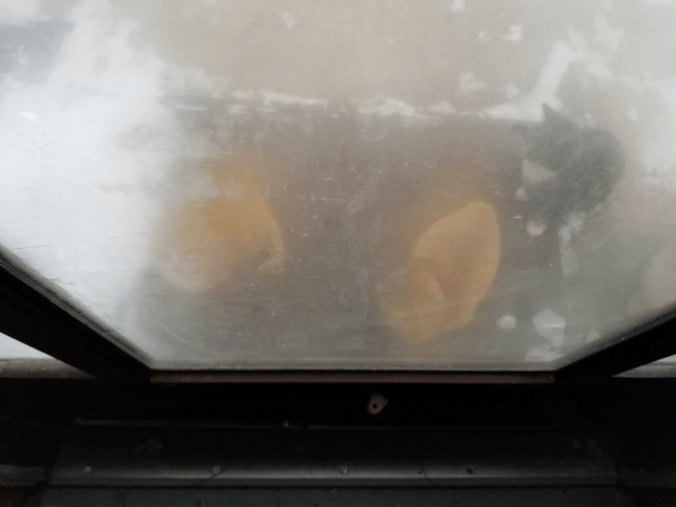 20171122_1052081305896970