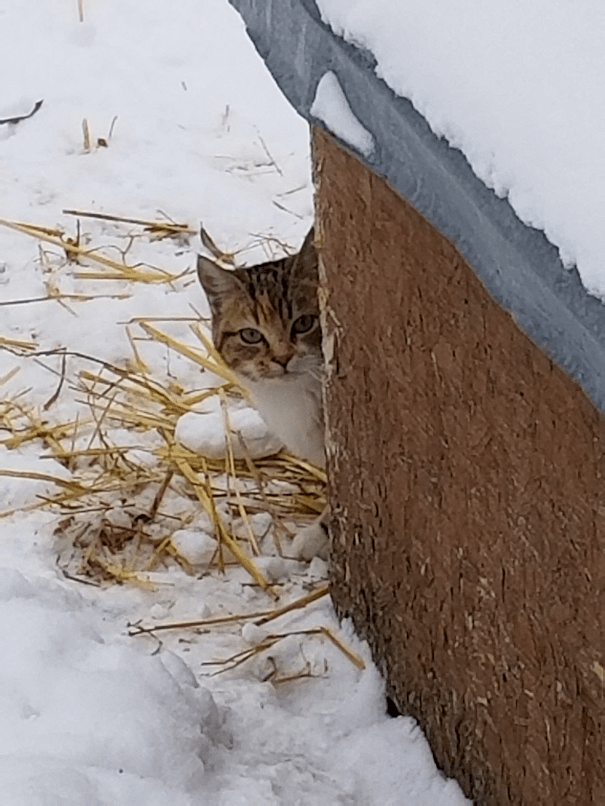 20171122_1054211269552783