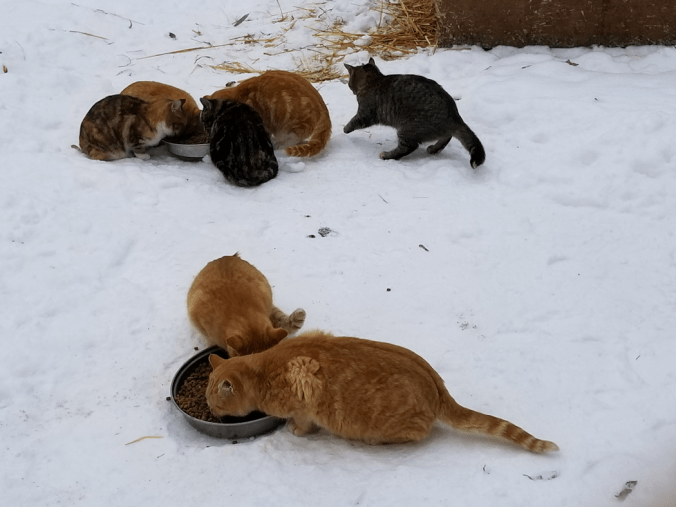 20171122_1058311730165157