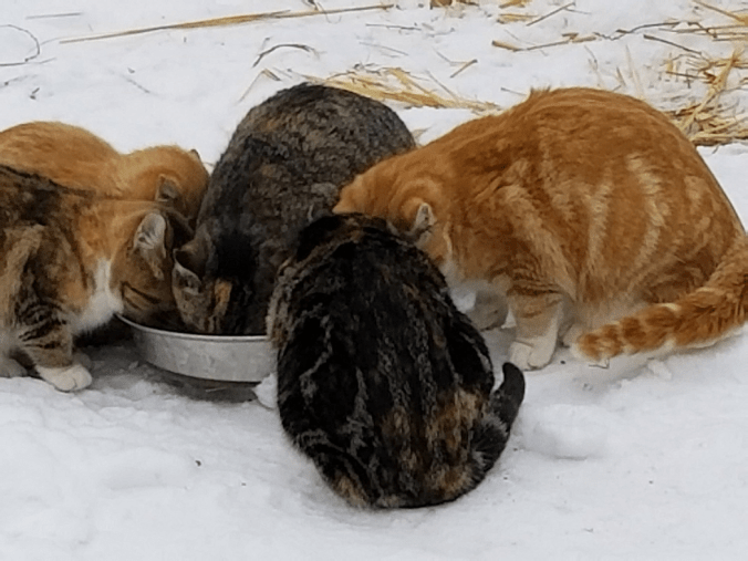 20171122_1058501405314538