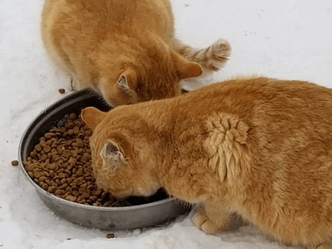 20171122_1058541539294633