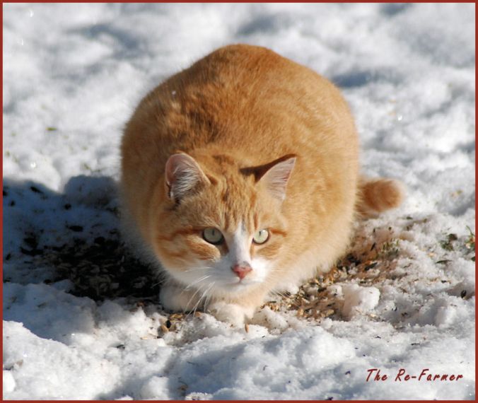 2018-01-24.nasty.crime.boy