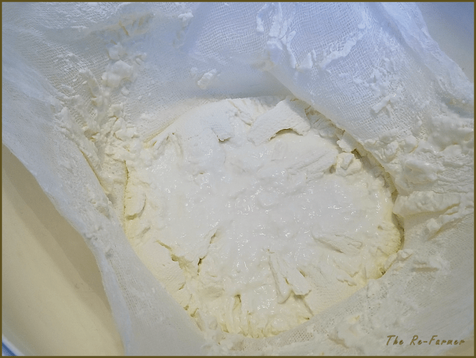 20180129.yogurt.cheese.10