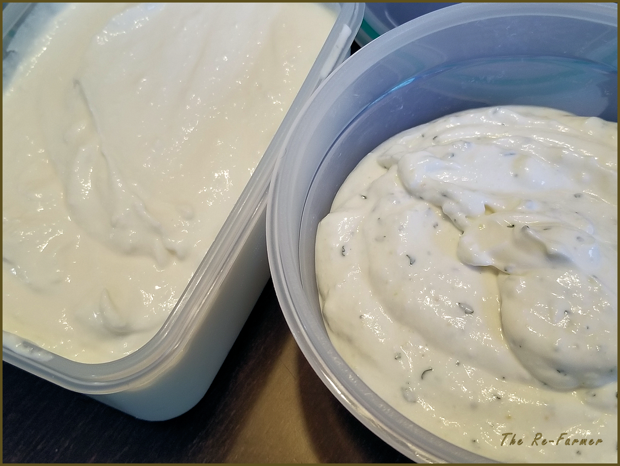 20180129.yogurt.cheese.12