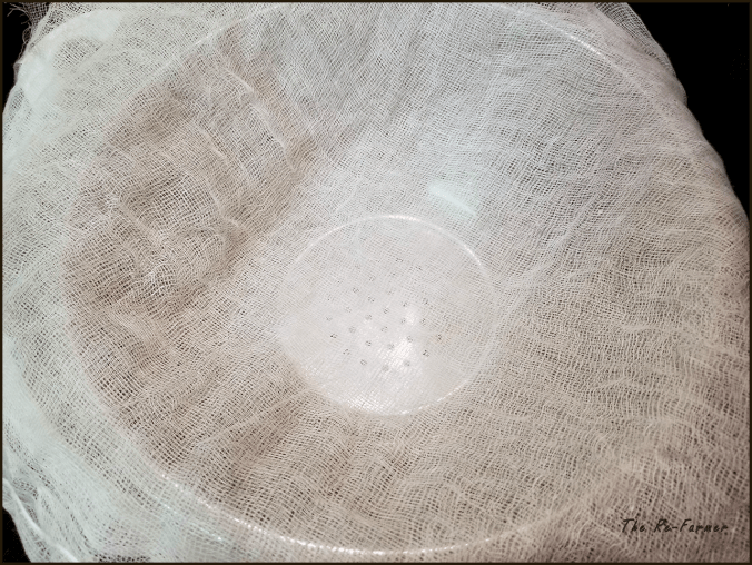 20180129.yogurt.cheese1