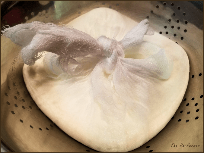 20180129.yogurt.cheese3