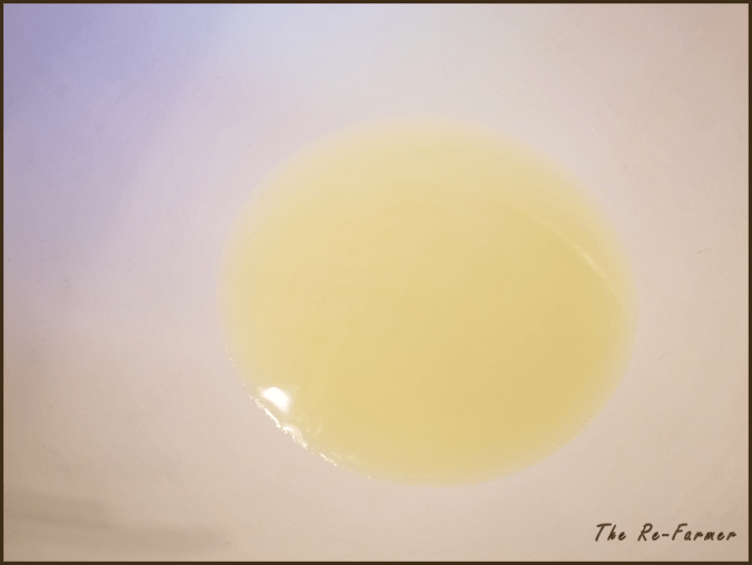 20180129.yogurt.cheese5