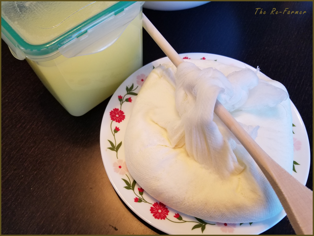 20180129.yogurt.cheese9