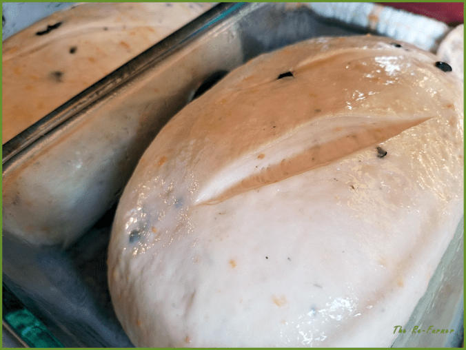 20180201.waiting.loaves