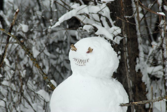 2018-03-05.back.snowman