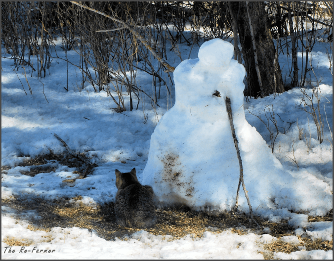 2018-03-17.beepbeep.eunice