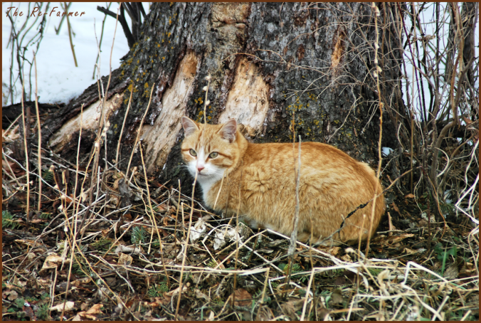 2018-03-21.nasty.crime.boy