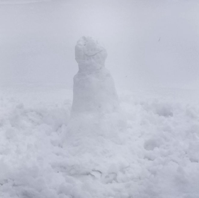20180305.front.snowman