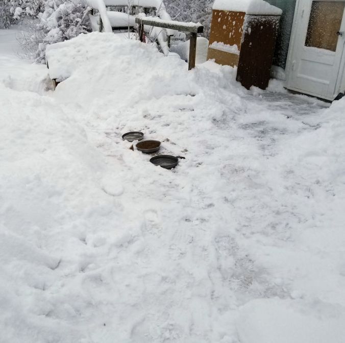 20180305cat.area.after