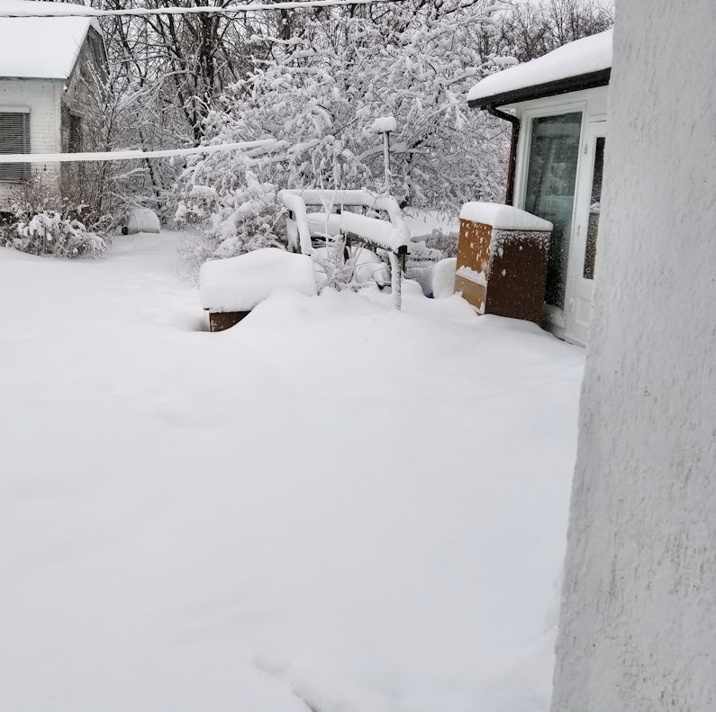 20180305cat.area.before