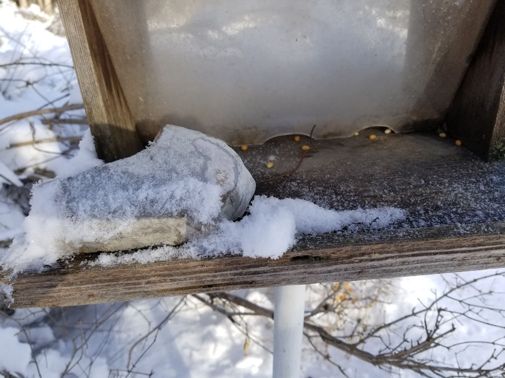 20180306birdfeeder.rock