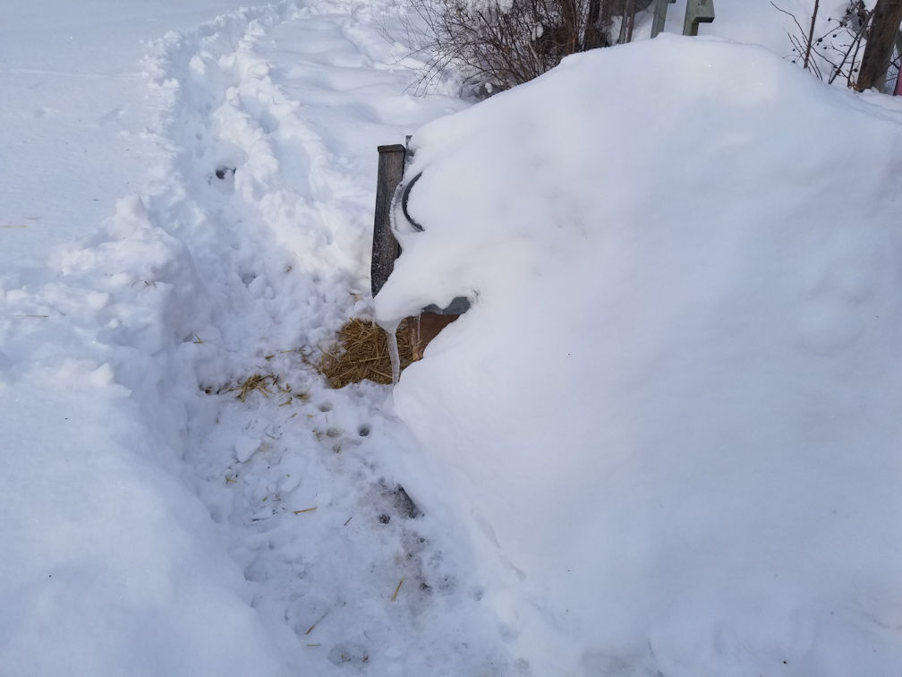 20180308foodbowlfound