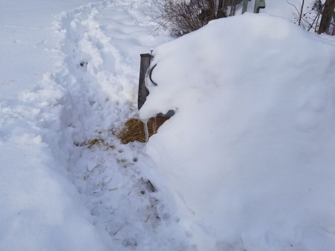 20180308foodbowlfound