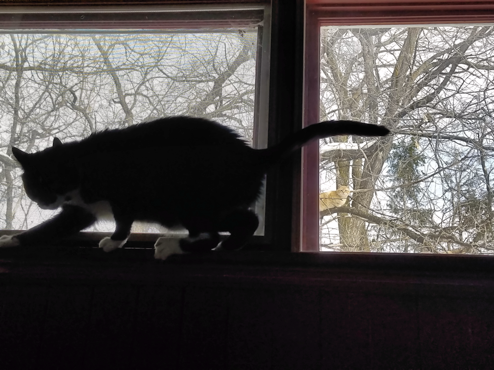 20180310strange.fruit.almost.fit