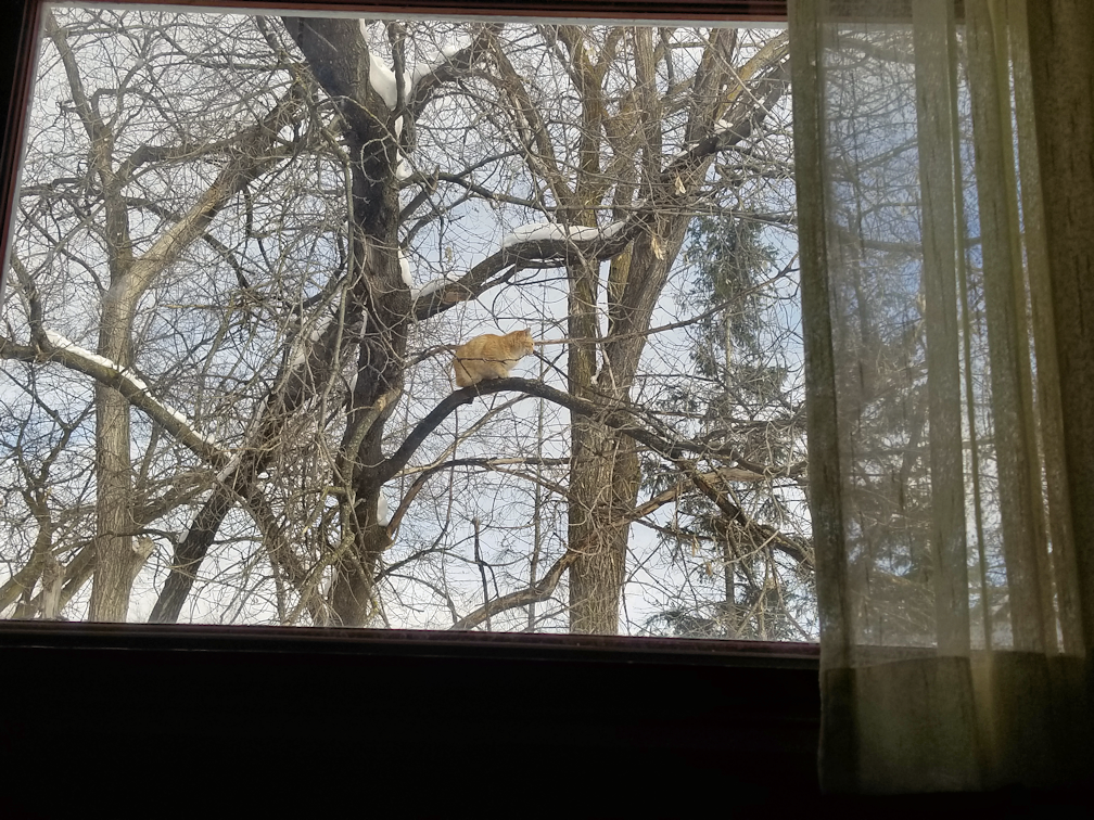 20180310strange.fruit