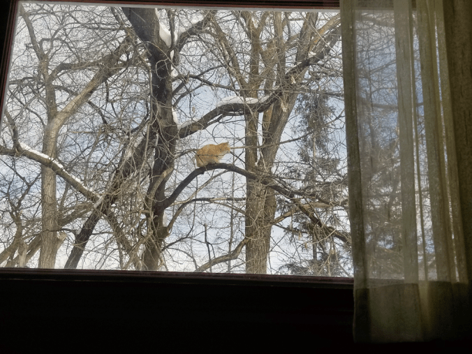 20180310strange.fruit