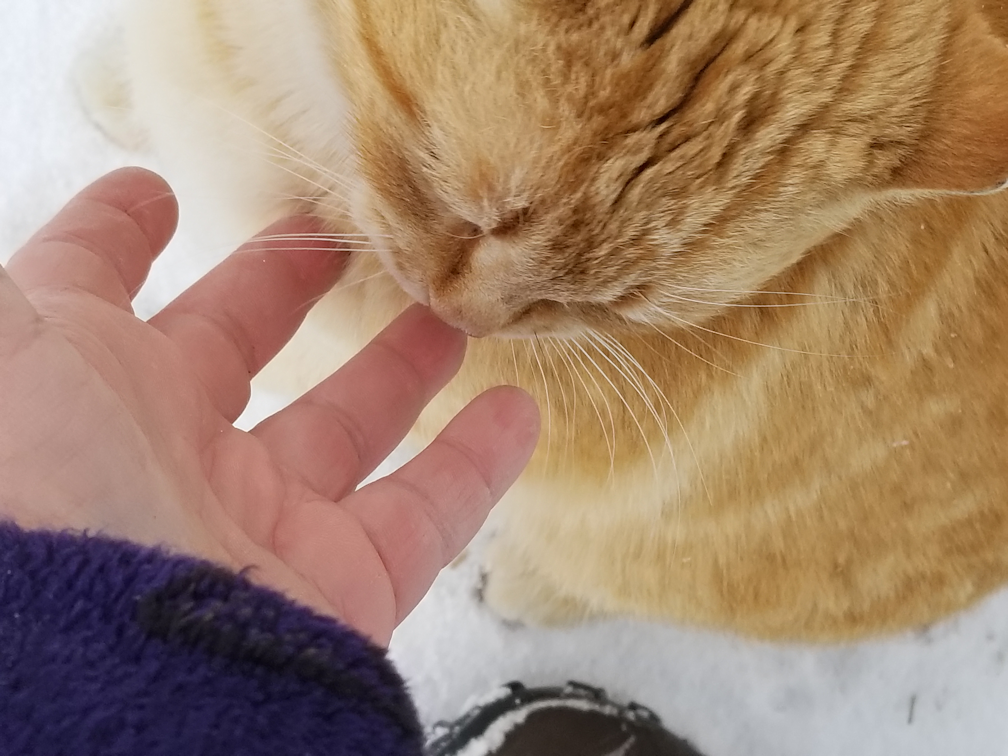 20180325rolando.moon