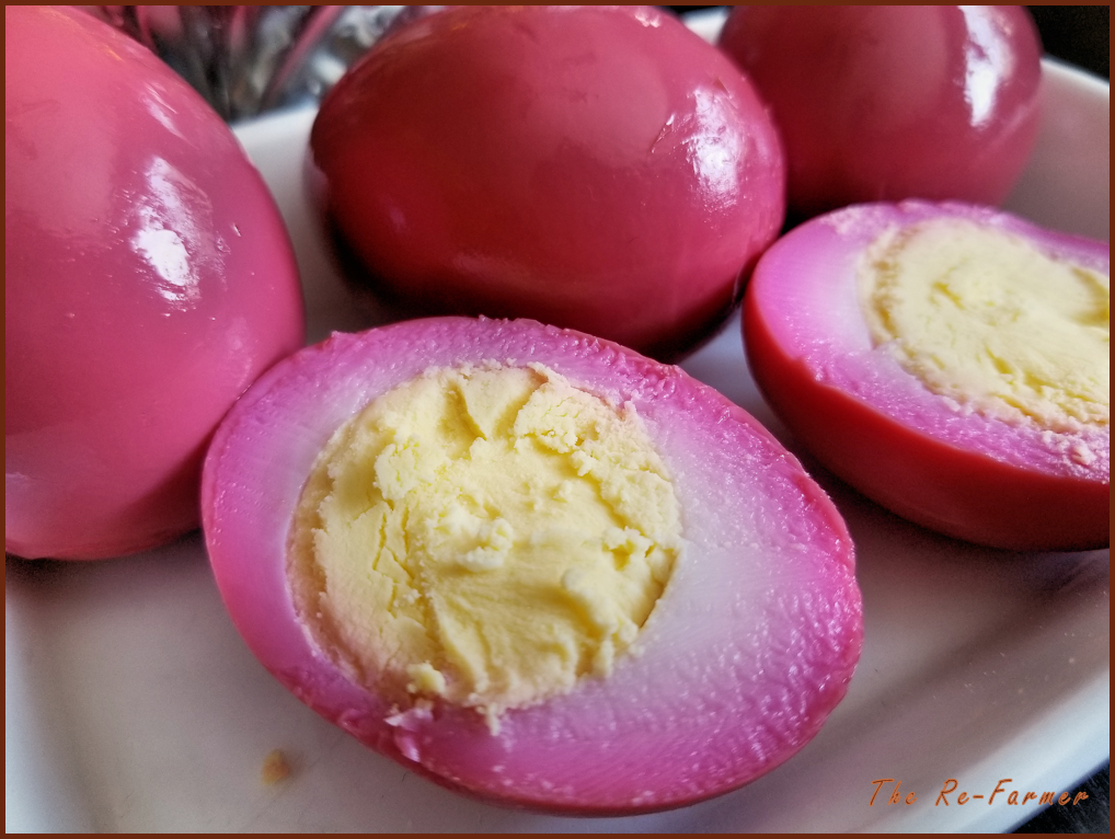 Pickled pink eggs