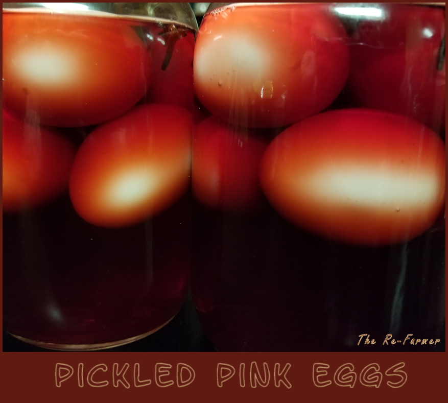 Pickled Pink Eggs
