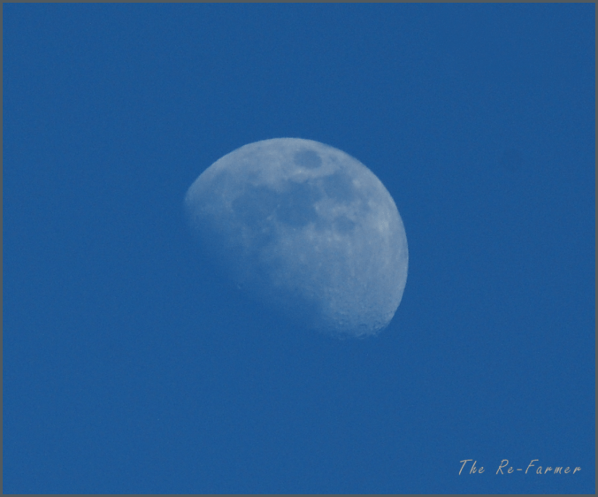 2018-04-24.daytime.moon