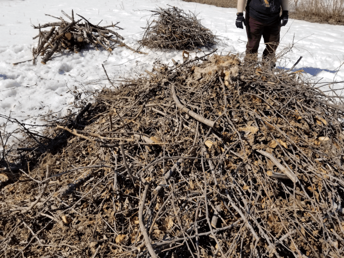 20180413.wood.pile.insulation