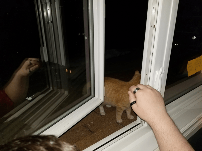 20180415.window.visitor