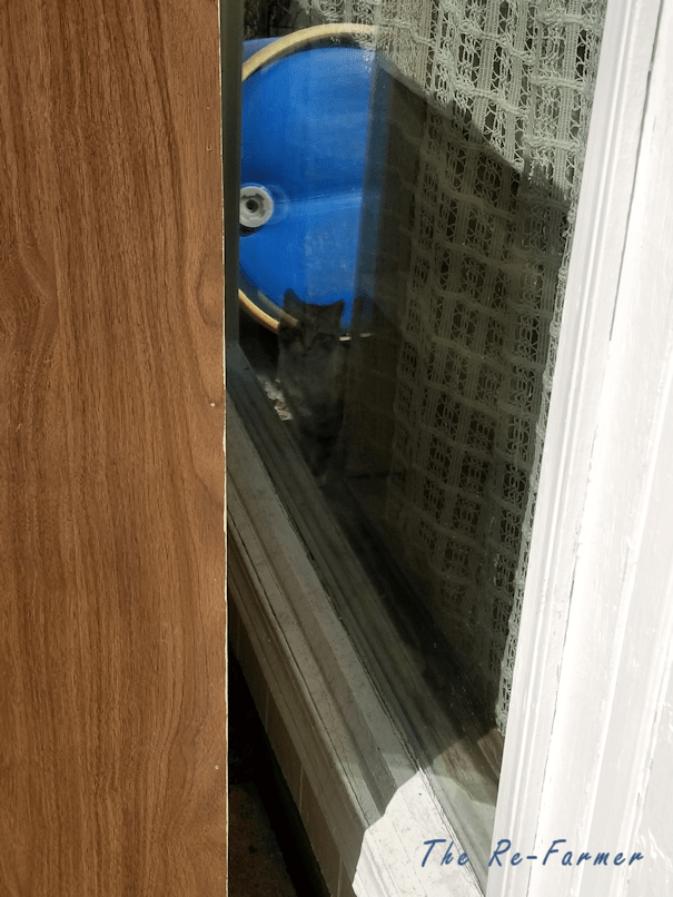 20180415_the.hand.reflection