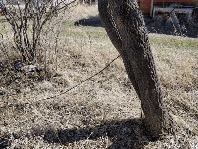 20180503.mystery.cord.ground