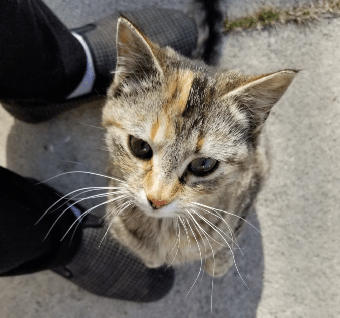 20180508.beepbeep.standing