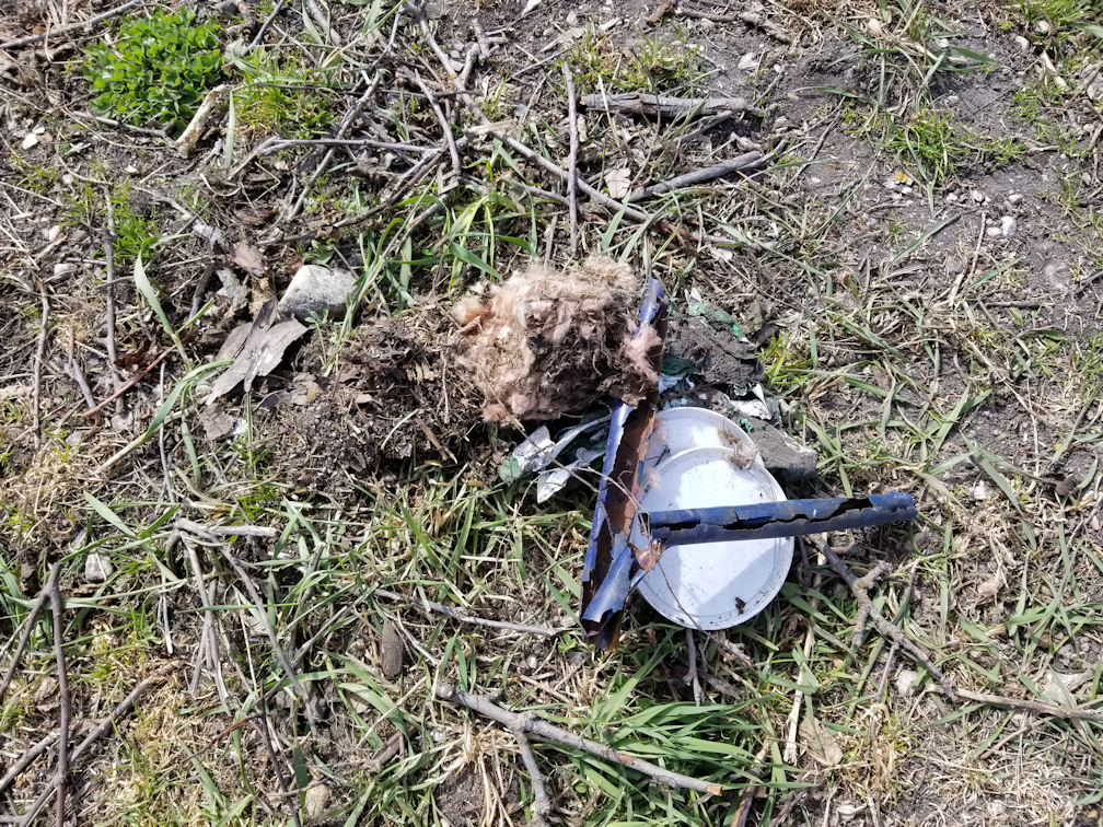 20180511.woodpile.finds