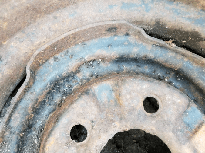 20180521.flower.garde.planter.rim.ants